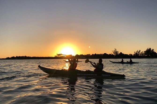 Kayak Mangroves Sunrise Experience - Yum Balam Reserve kayaking route and what you’re really doing