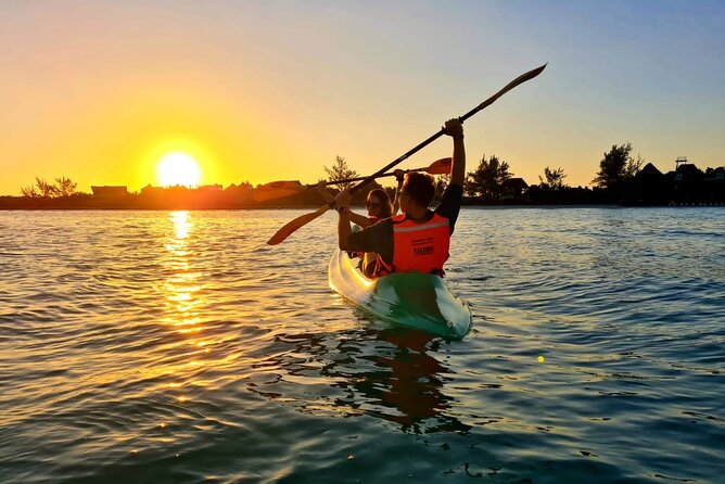 Kayak Mangroves Sunrise Experience - What’s included in the 3 hours, and where value really comes from