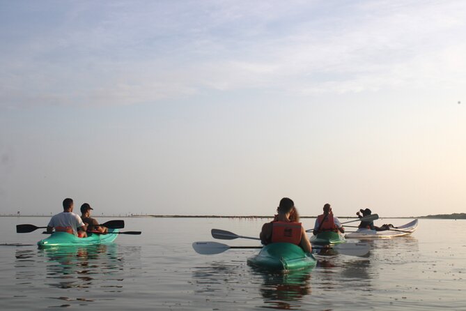 Kayak Mangroves Sunrise Experience - Wildlife spotting: rays, crocodiles, flamingos, and more