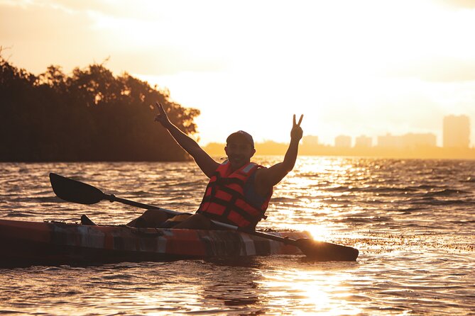 Kayak Tour at Sunset in Cancun - Wildlife Moments In Calm Mangrove Water