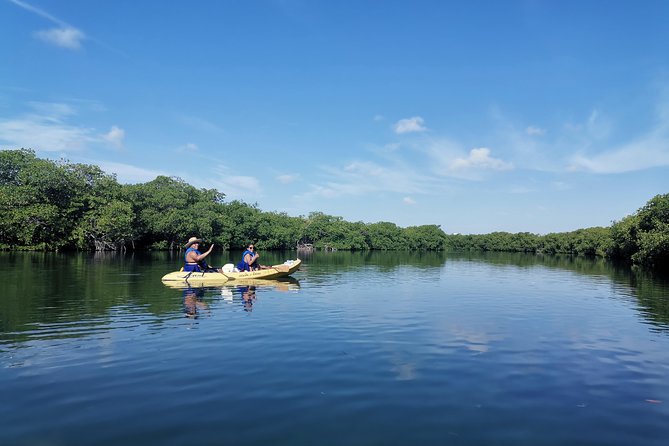 Kayak TOUR POR Laguna Nichupte Cancun - Timing, meeting point, and why being early matters