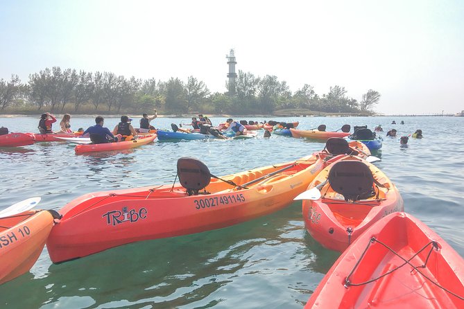Kayaking on the Island of Sacrifices - Paddling back to Veracruz, why the return feels calmer