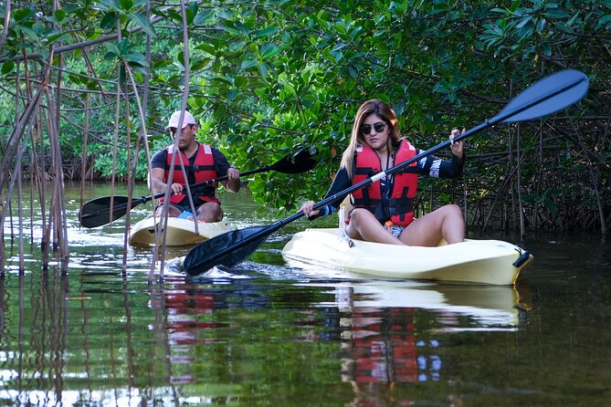 Kayaking Tour in Cancun - Nichupté Lagoon kayaking in Cancun, why it feels special