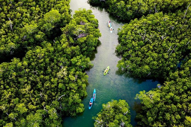 Kayaking Tour in Cancun - Timing and route length, so you can fit it into your Cancun day