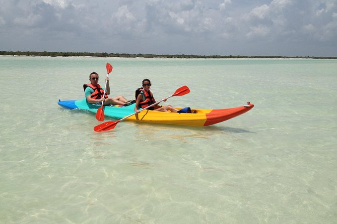 Kayaking Tour Through the Mangroves in Isla Holbox - Kayaking the Holbox mangroves feels like a nature documentary