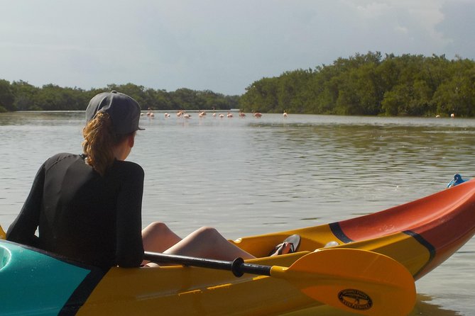 Kayaking Tour Through the Mangroves in Isla Holbox - Calm channels versus open-water return: how to stay comfortable