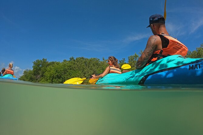 Kayaking Tour Through the Mangroves in Isla Holbox - Who should book this kayak tour, and who should reconsider