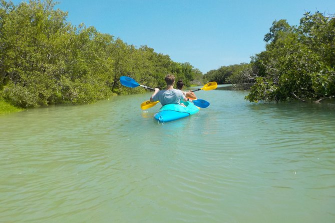 Kayaking Tour Through the Mangroves in Isla Holbox - The guide matters, and you may meet names like Gustavo and Willy