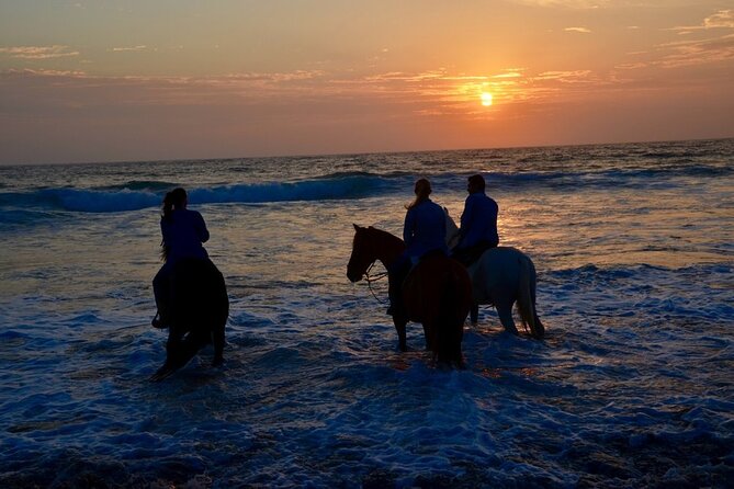 La Bufadora, Markets & Horseback Beach Ride Shore Excursion - Price and Value for a Private Shore Day