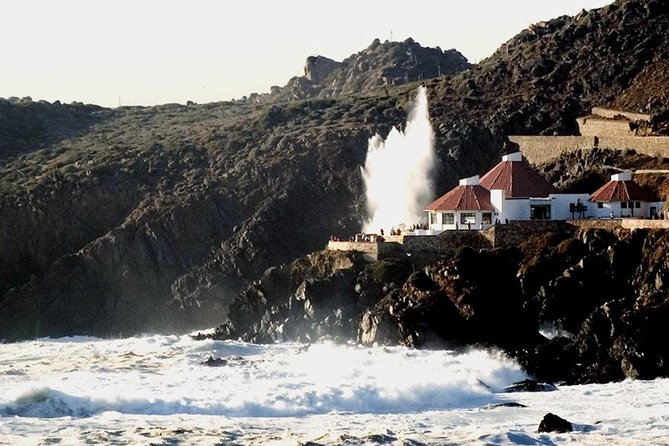 La Bufadora Tour in Baja California - Key things to love about this La Bufadora experience