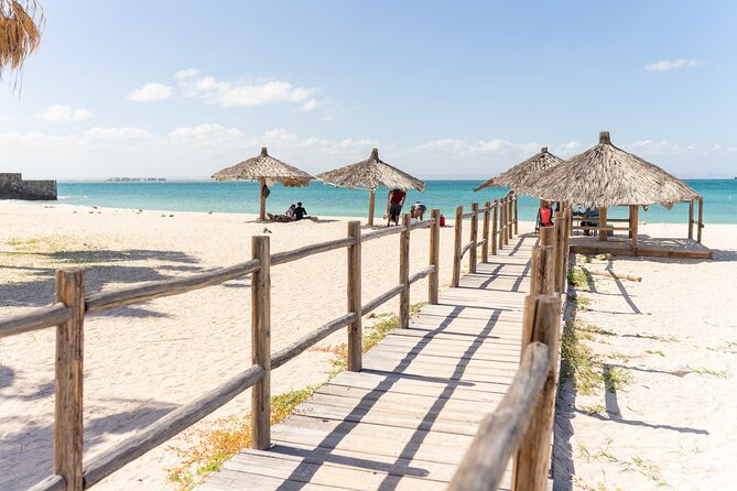 La Paz Beaches Half Day Tour - How many beaches you will get, and how to maximize your favorites