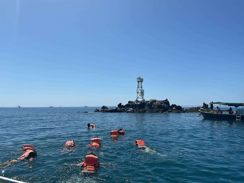 La Paz: Espiritu Santo Island Tour - Wildlife spotting: what you can reasonably hope to see