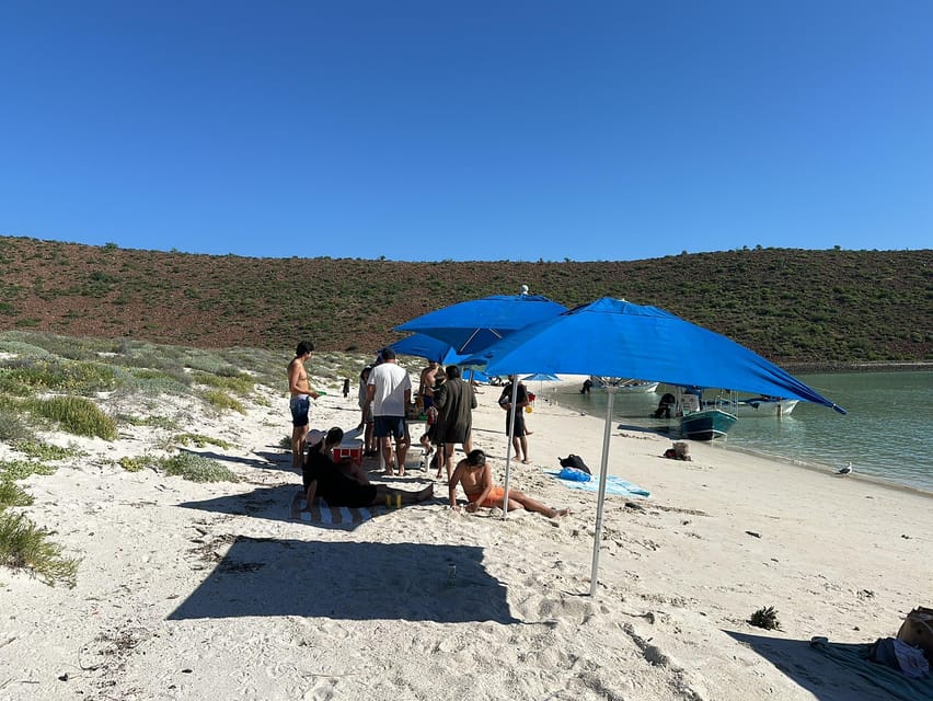 La Paz: Espiritu Santo Island Tour - Isla Espíritu Santo time: beach, reefs, and marine life spotting