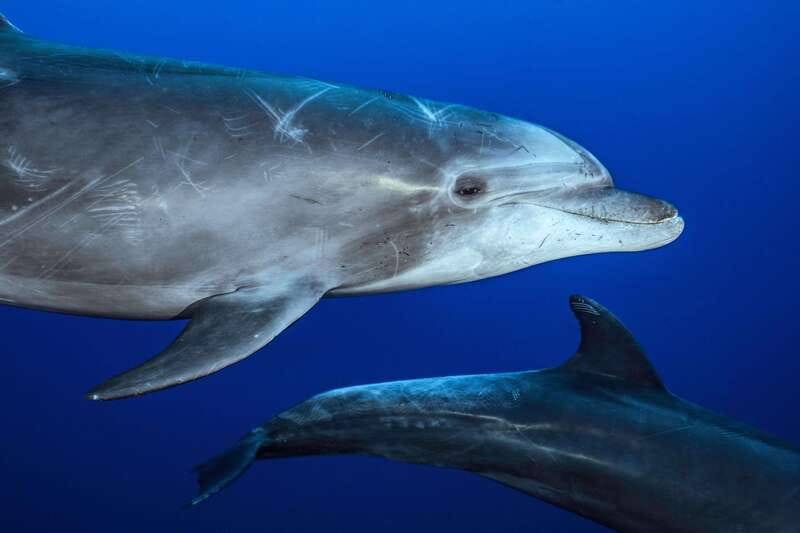 La Paz or La Ventana: Ocean Safari - Should you book this Ocean Safari?