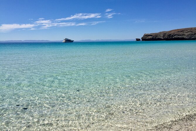 La Paz Whale Shark & Sea Lion Snorkeling + Balandra Tour - What’s included, plus what to bring for comfort