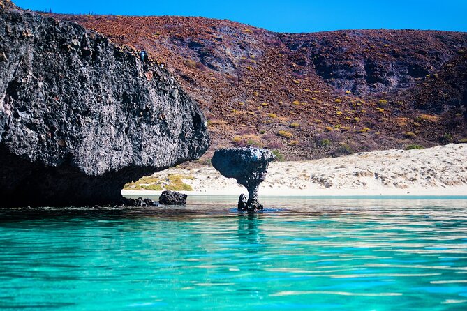 La Paz World Class Snorkeling in Balandras Hidden Beaches - Snorkeling Reality Check: Clarity, Coral Health, and Jellyfish