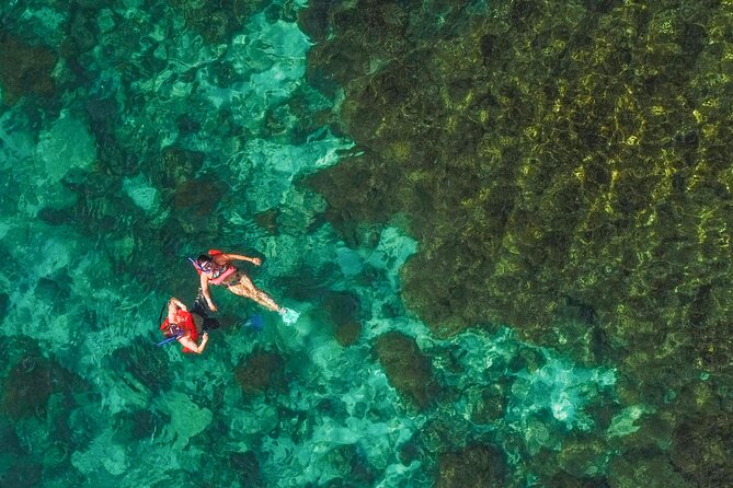 La Paz World Class Snorkeling in Balandras Hidden Beaches - The Group Size and Crew Energy