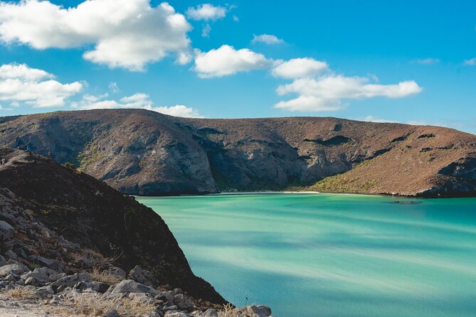 La Paz World Class Snorkeling in Balandras Hidden Beaches - Price and Logistics: What You Pay for, and What to Budget