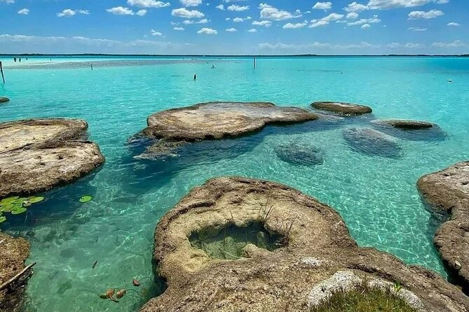 Lagoon of 7 colors from Costa Maya - Boat Tour and transportation - Isla de los Pájaros: bird spotting and quick photo time