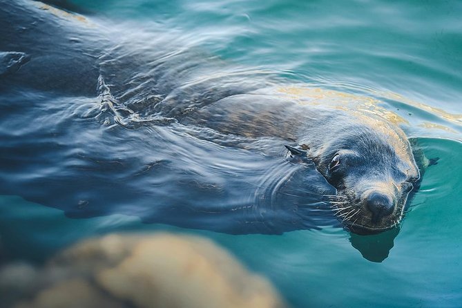 Land’s End Experience – Arch, Beaches & Marine Life - San Jose del Cabo to Land’s End: why the timing works