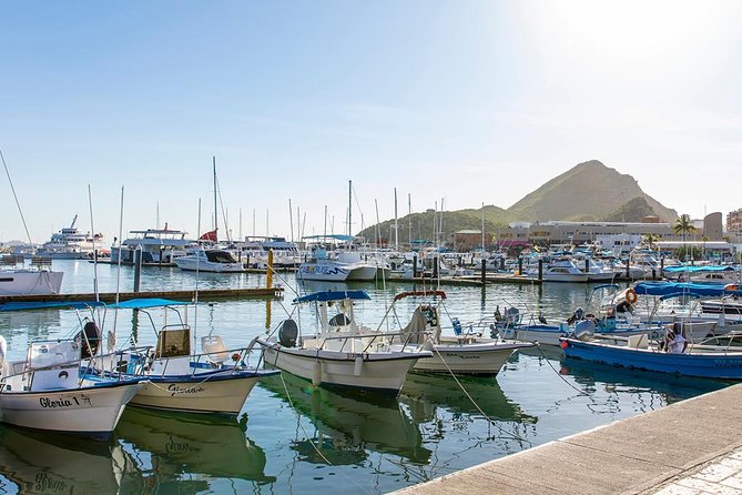 Land’s End Experience – Arch, Beaches & Marine Life - The wildlife loop: sea lions, pelicans, and fish you can spot