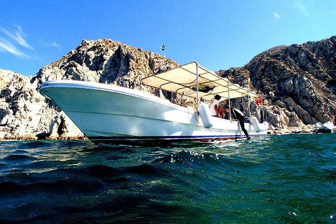 Land's End Sightseeing Boat Tour in Los Cabos - Cruising Land’s End without wasting time: Pelican Rock and sea life views