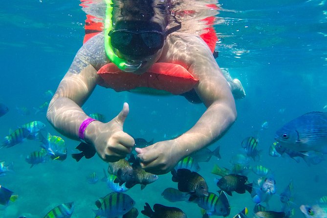 Las Caletas Beach & Adventure Park with buffet lunch and open bar - Food and drinks: buffet lunch and open bar value that adds up