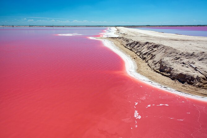Las Coloradas Pink Lake & Rio Lagartos Guided Tour - Key points before you book