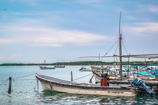 Las Coloradas Pink Lake & Rio Lagartos Guided Tour - Round-trip Cancun pickup, shared rides, and where delays show up