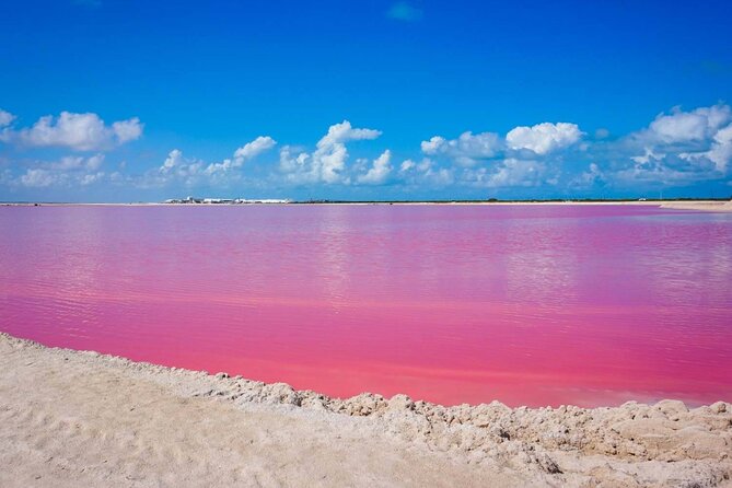 Las Coloradas, Río Lagartos and Playa Cancunito Tour from Mérida - Key highlights to know before you go