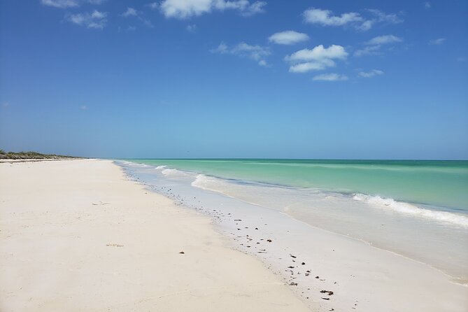 Las Coloradas, Río Lagartos and Playa Cancunito Tour from Mérida - Playa Cancunito Swim Time: Secluded Beach, No Services