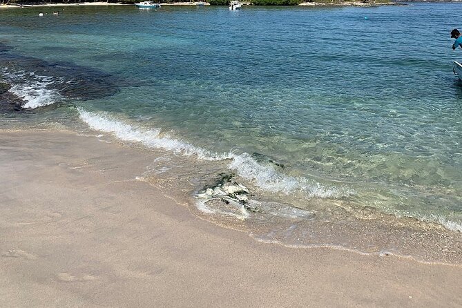 Las Gatas Kayaking and Snorkeling Tour - Snorkeling the Las Gatas seawall and the King of Kings Jesus statue