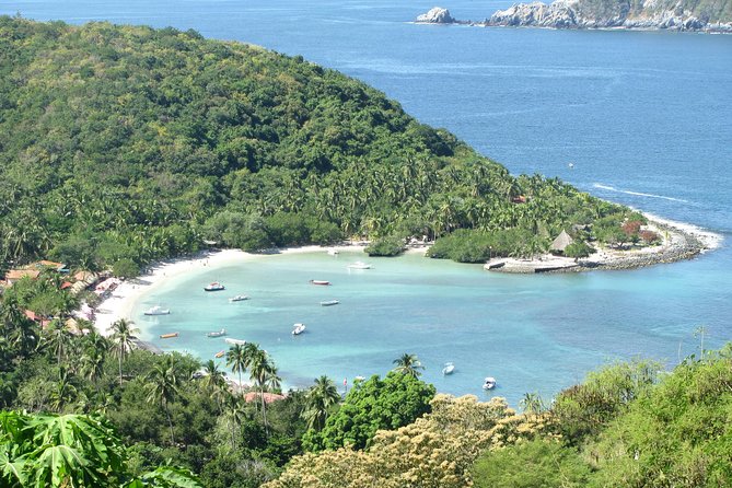 Las Gatas Kayaking and Snorkeling Tour - Who should book this kayaking and snorkeling tour