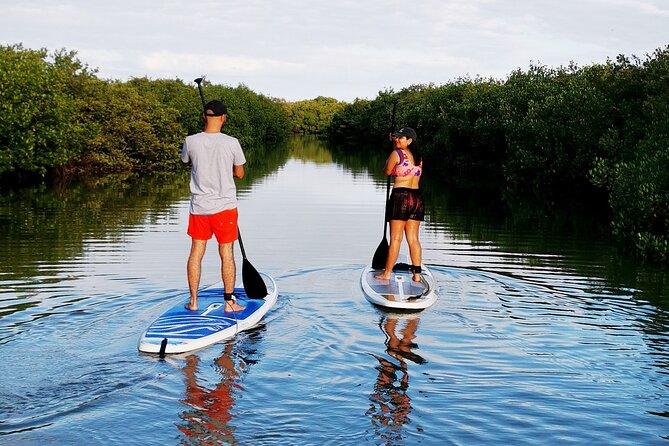 Learn Paddle Board and Explore the Mangroves of Progreso - Getting Started at Marina Laguna MarCalle 18, Progreso