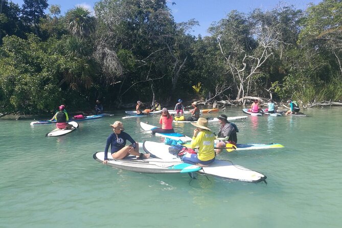 Learn Paddle Board and Explore the Mangroves of Progreso - How the 2-Hour Timing Feels on the Water