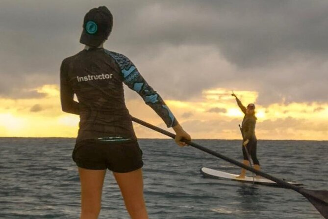 Learn Paddle Board and Explore the Mangroves of Progreso - Price and Value: Is $59.44 a Good Deal?
