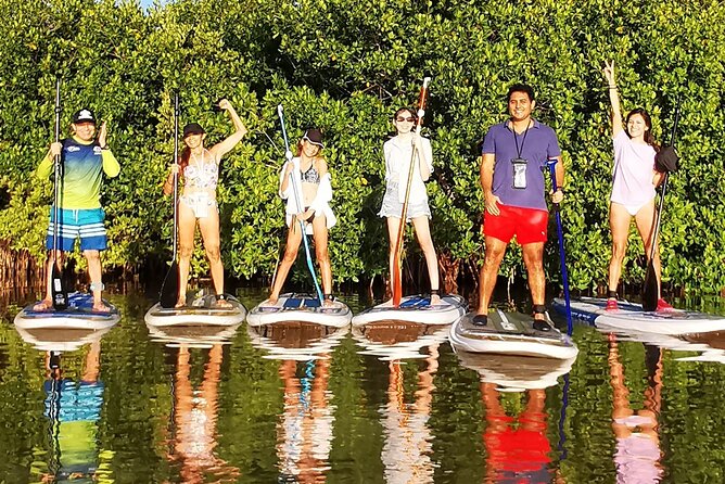 Learn Paddle Board and Explore the Mangroves of Progreso - Weather, Scheduling, and Why Communication Matters