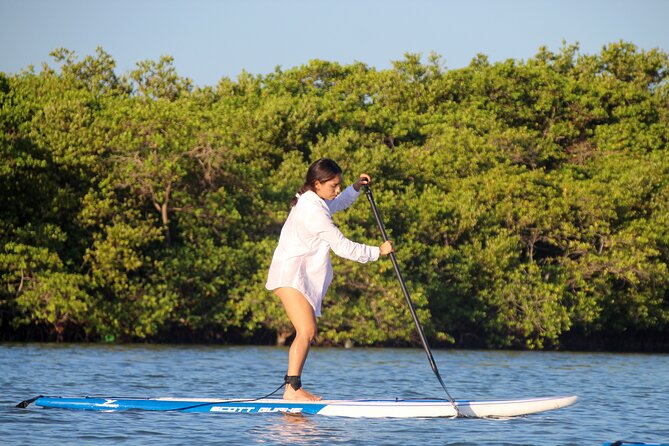 Learn Paddle Board and Explore the Mangroves of Progreso - Who This Paddle Board Mangrove Trip Fits Best