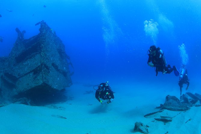 Learn to Scuba Dive in Cabo San Lucas with PADI - Key points to know before you go