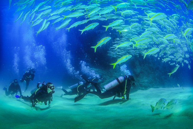 Learn to Scuba Dive in Cabo San Lucas with PADI - The setting: San Jose del Cabo to the water