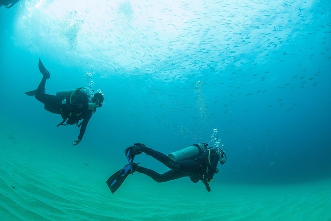 Learn to Scuba Dive in Cabo San Lucas with PADI - Timing, pickup, and how not to lose your day