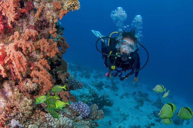 Learn to Scuba Dive in Cabo San Lucas with PADI - The shallow training pool: where confidence becomes skill