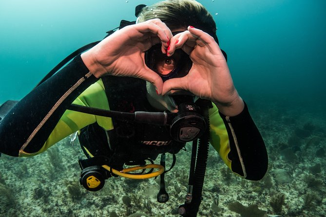 Local Dive in Playa del Carmen - A practical 4-hour rhythm for your 2-tank outing