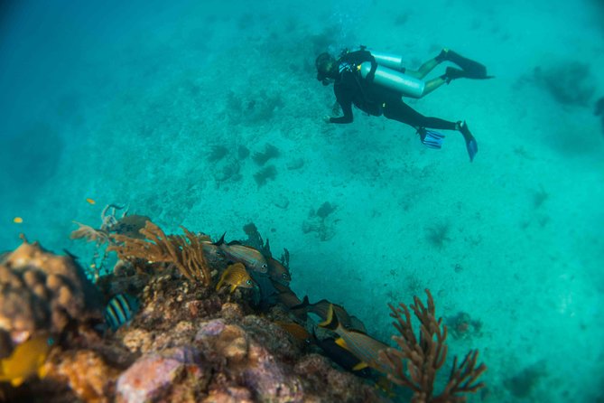 Local Dive in Playa del Carmen - Price and value: what you pay for, what costs extra