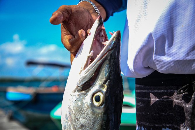 Local Fishing Plus Snorkeling Tour in Isla Mujeres - Fishing in Isla Mujeres: what you do for two hours