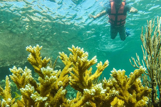 Local Fishing Plus Snorkeling Tour in Isla Mujeres - The private guide factor: more attention, less crowd stress