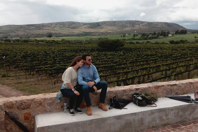 Local Vineyard Tour & Wine Tasting at the Independence Valley - Why Valle de La Independencia Makes a Smart San Miguel Wine Day