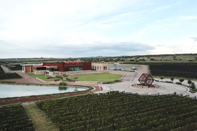 Local Vineyard Tour & Wine Tasting at the Independence Valley - After the Tasting: The One-Hour Window for Lunch or Exploring