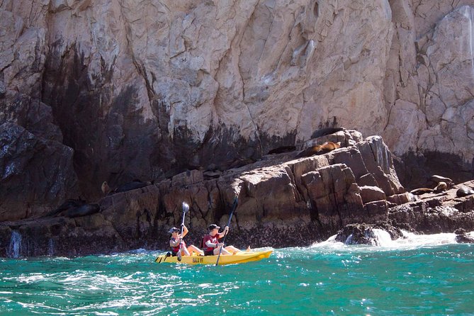 Los Cabos Arch and Playa del Amor Tour by Glass Bottom Kayak - Sea Lions on the Rocks: The Moment You Probably Remember Most