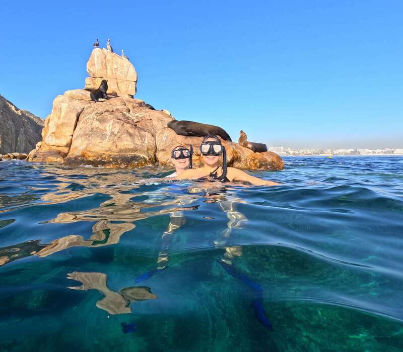 Los Cabos Arch & Lover’s Beach Tour + Snorkeling Tour - Meeting Baja Snorkel near the dolphinarium, and finding Luis fast